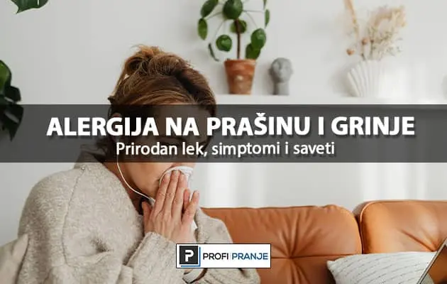 alergija na prasinu